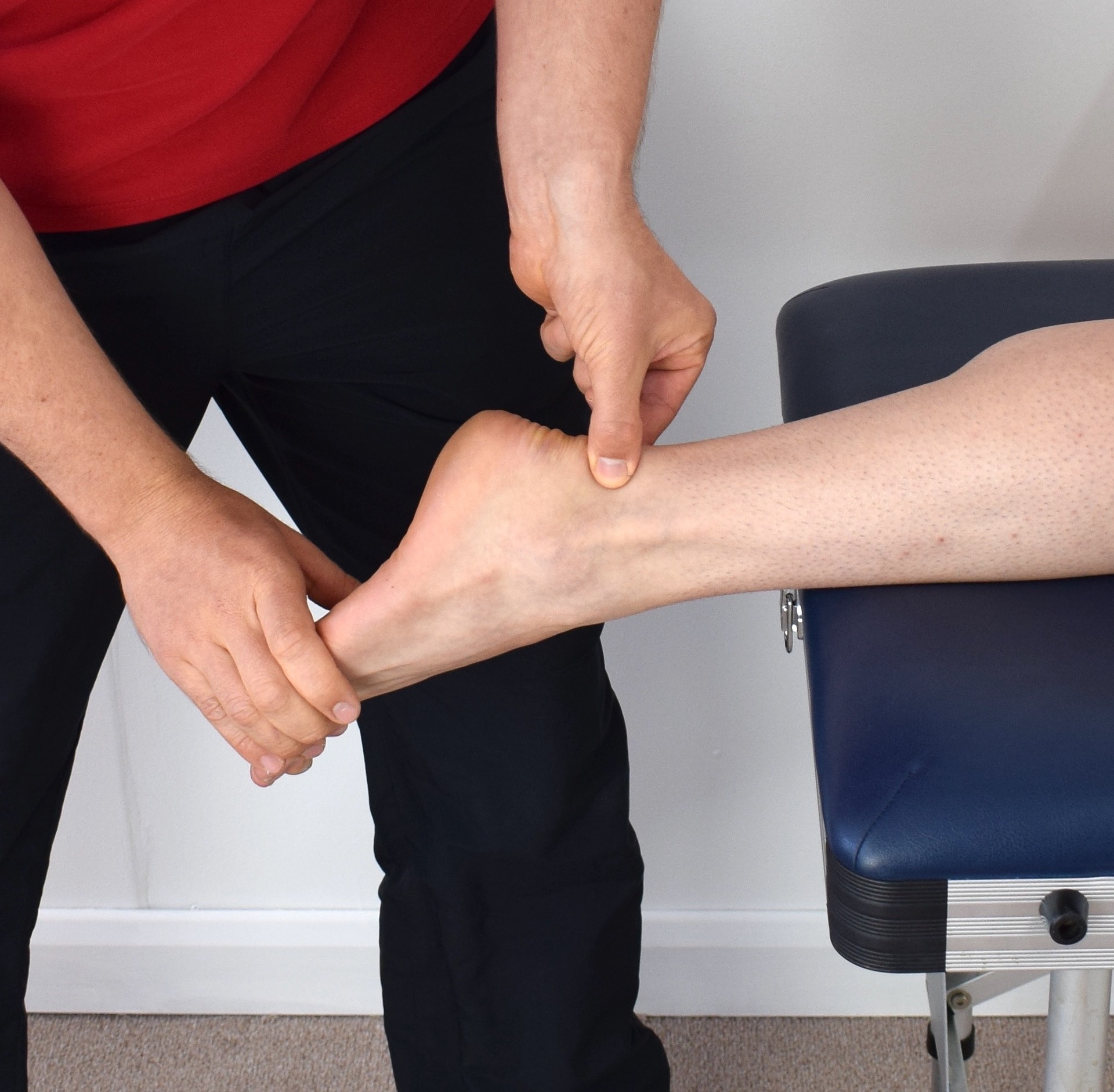Physio-4 Therapies for Tendinopathy: Prevention, Management, and Recovery