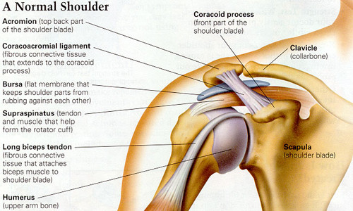 Physio-4 Therapies for Shoulder Injuries